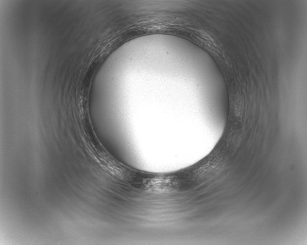 X0000051870366200507221929