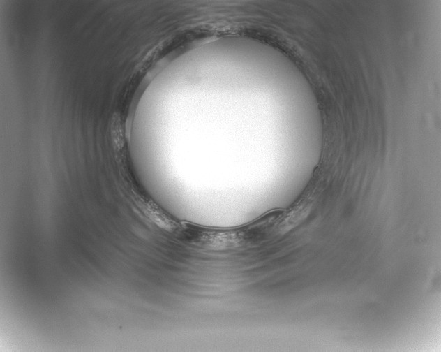 X0000051870384200507221930