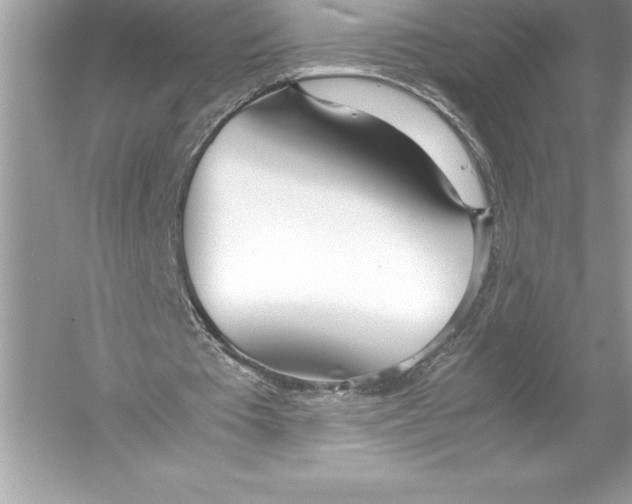 X0000051870385200507221929
