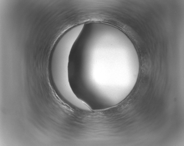 X0000051870386200507221929