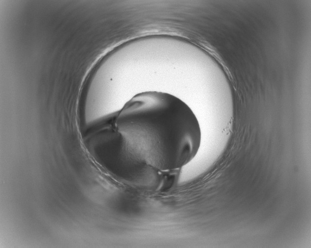X0000051870387200507221929