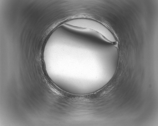 X0000051870389200507221929