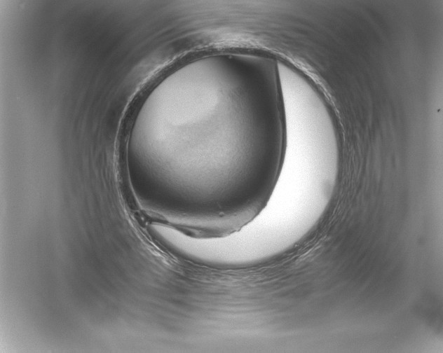 X0000051870391200507221929