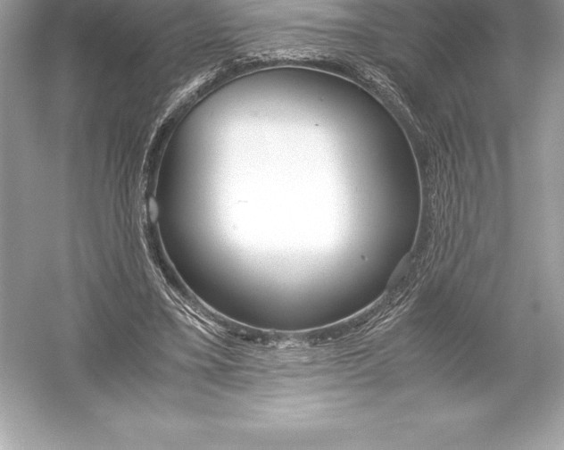 X0000051870395200507221929