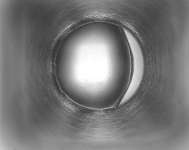 X0000051870399200507221929