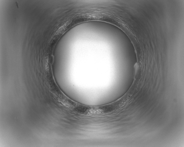X0000051870403200507221929