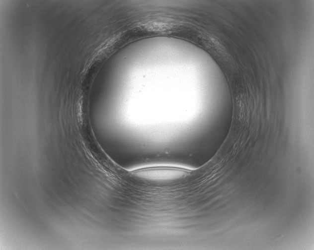 X0000051870404200507221929