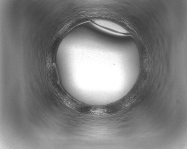 X0000051870407200507221928