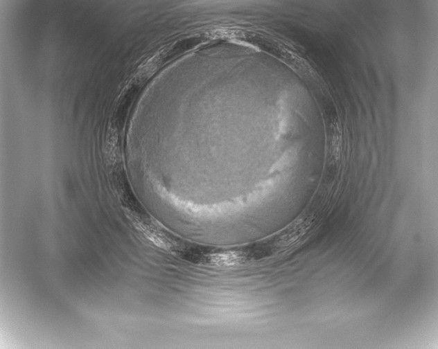 X0000051870411200507221928