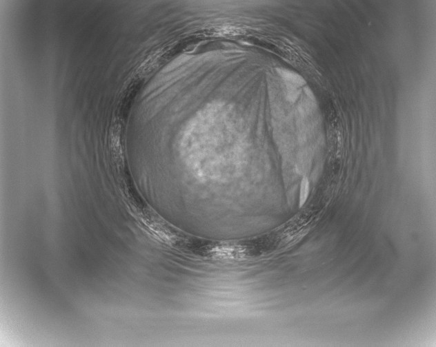 X0000051870415200507221928
