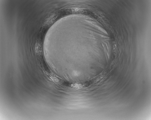 X0000051870419200507221928