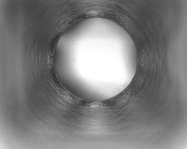 X0000051870420200507221928