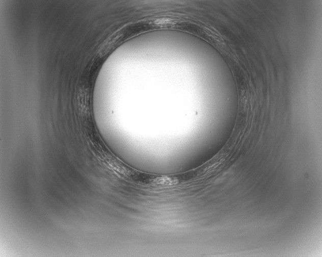 X0000051870421200507221928