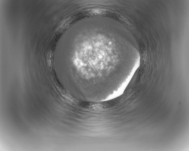 X0000051870423200507221928