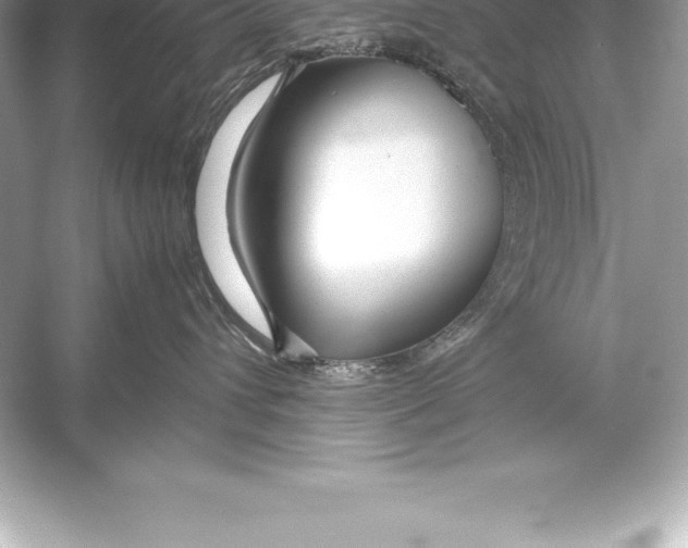 X0000051870432200507221928