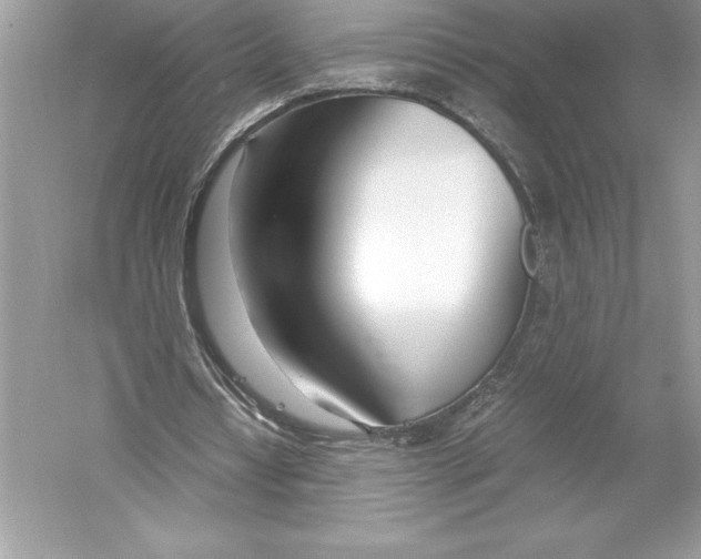 X0000051870434200507221927