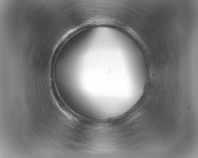 X0000051870438200507221927