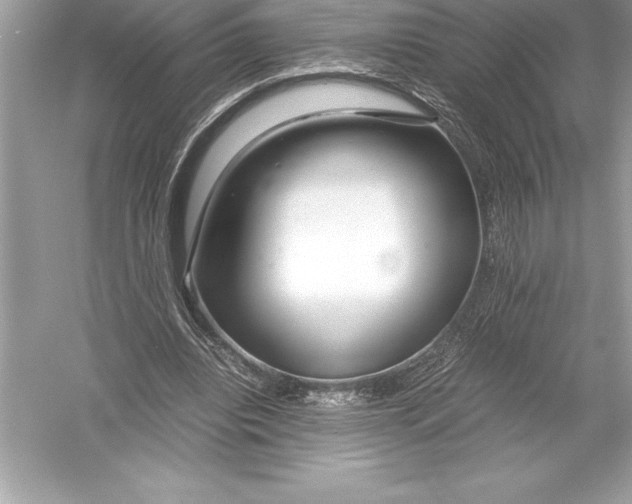 X0000051870440200507221927