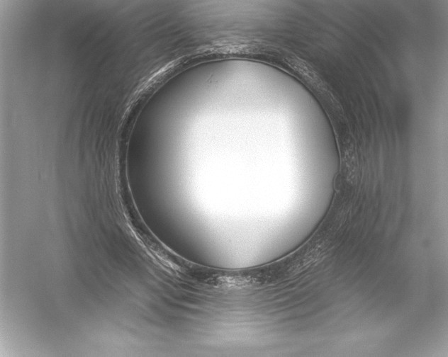 X0000051870442200507221927