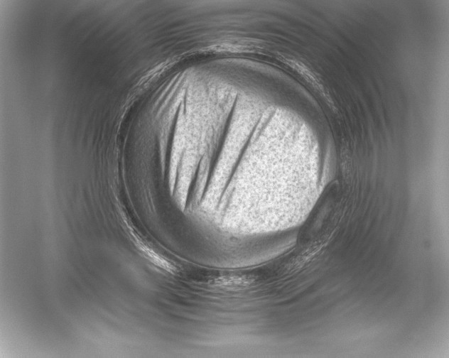 X0000051870445200507221927