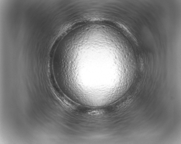 X0000051870447200507221927