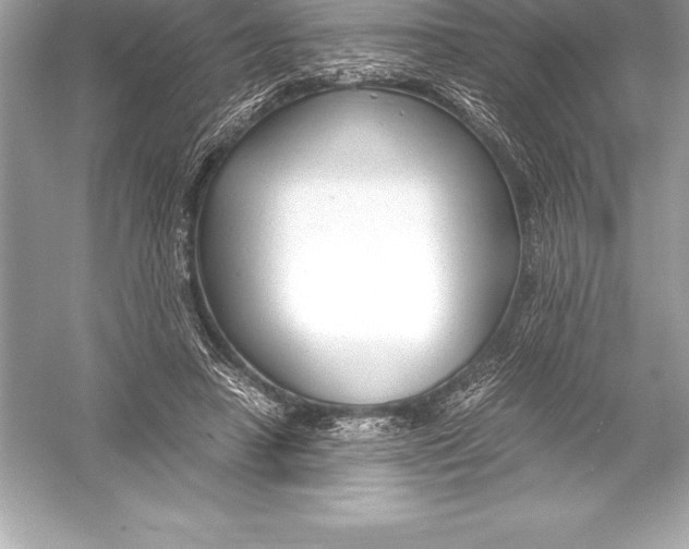 X0000051870450200507221927