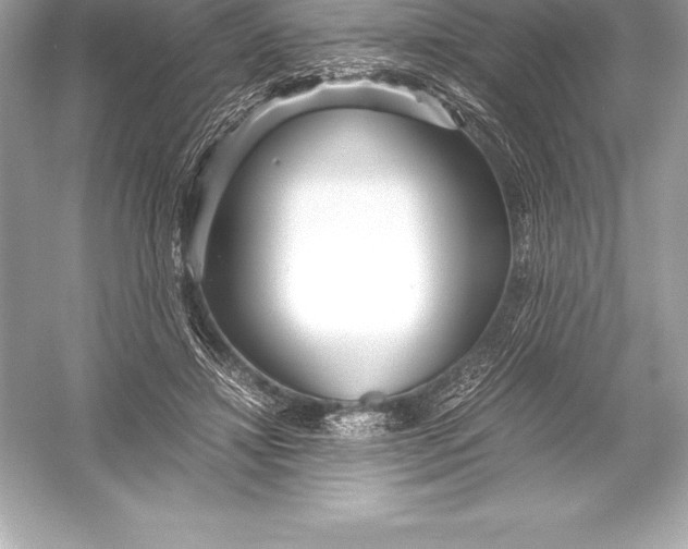 X0000051870452200507221928