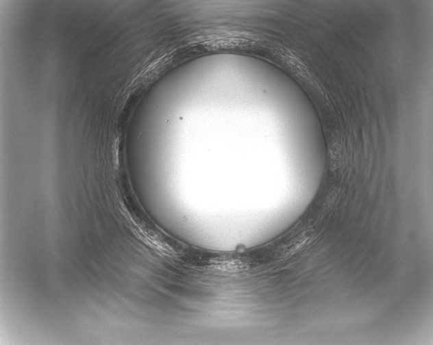 X0000051870454200507221928