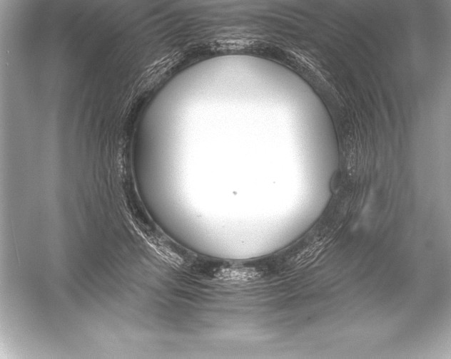 X0000051870455200507221928