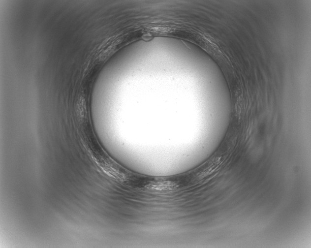 X0000051870459200507221928