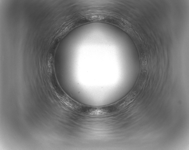 X0000051870460200507221928