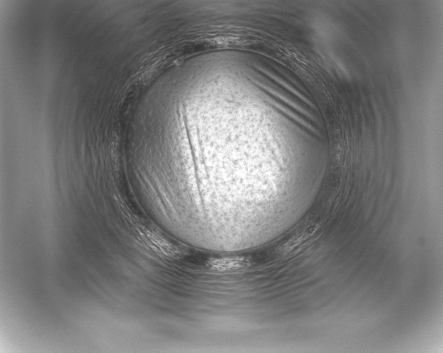 X0000051870461200507221928