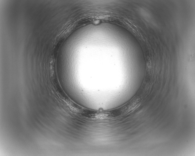 X0000051870462200507221928