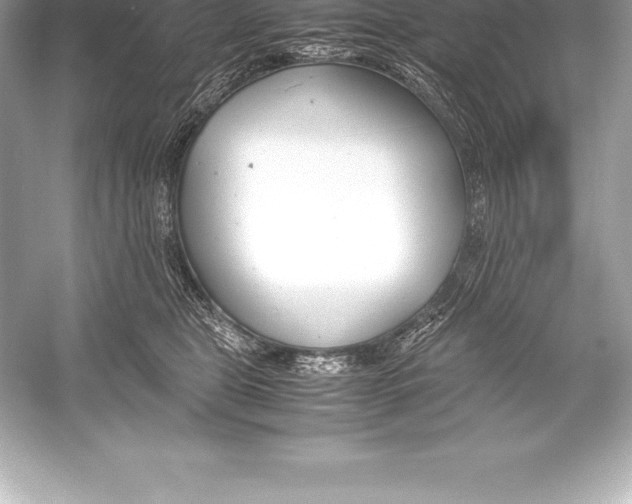 X0000051870469200507221928