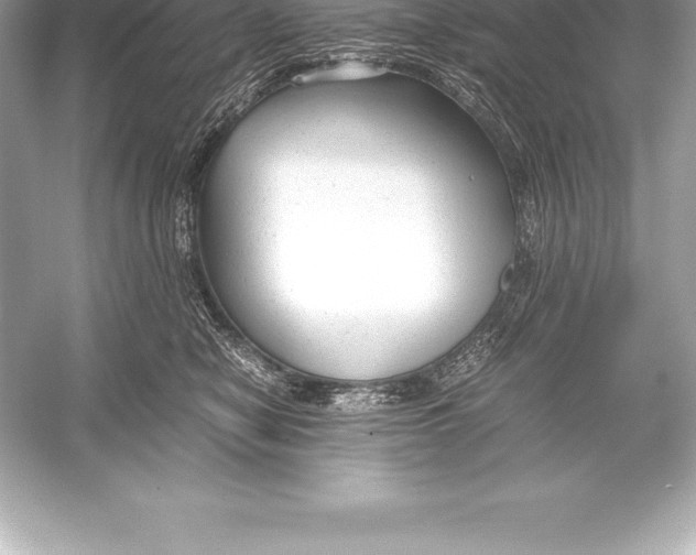 X0000051870470200507221928