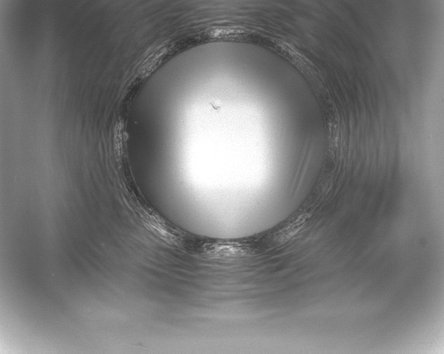 X0000051870475200507221928