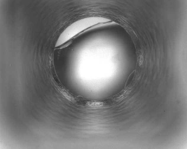 X0000051870476200507221928
