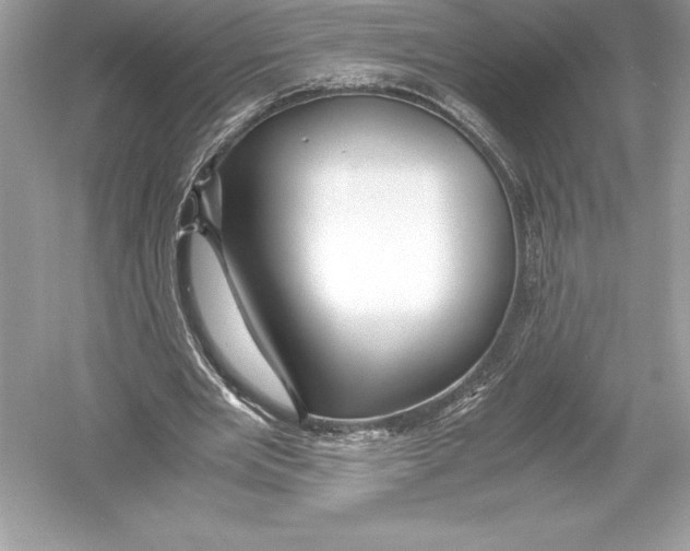 X0000051870485200507221927