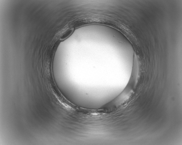 X0000051870489200507221927