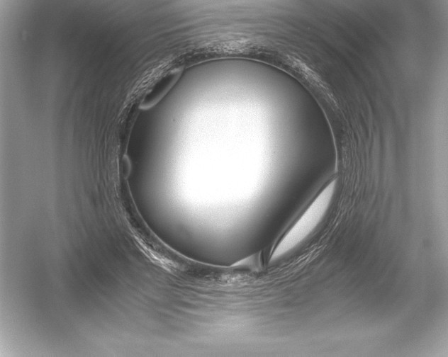 X0000051870493200507221927