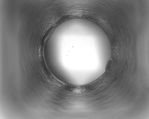 X0000051870504200507221927