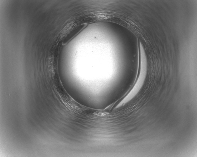 X0000051870512200507221927