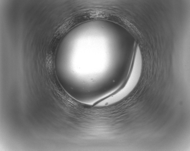 X0000051870513200507221927