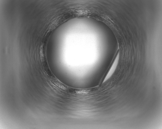 X0000051870516200507221927