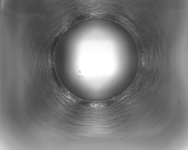 X0000051870520200507221927