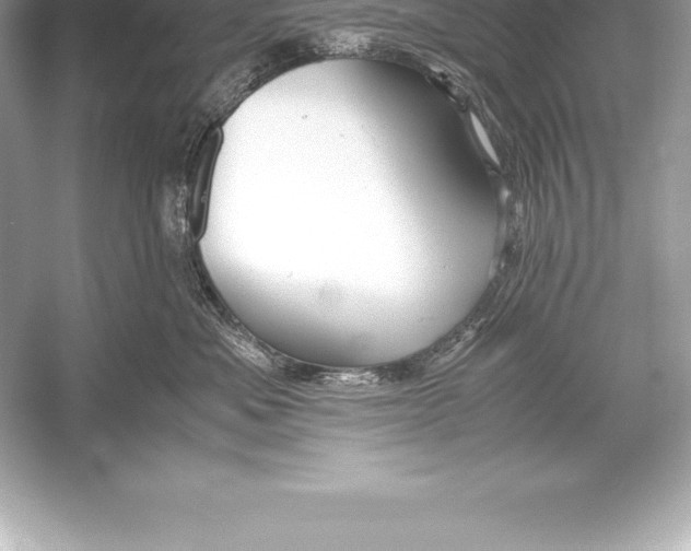 X0000051870525200507221926