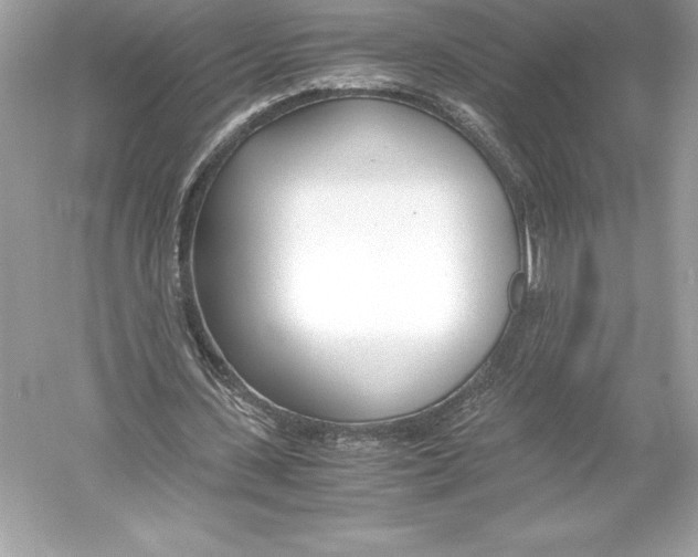 X0000051870531200507221926