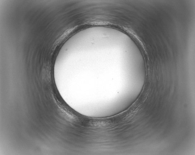 X0000051870533200507221926