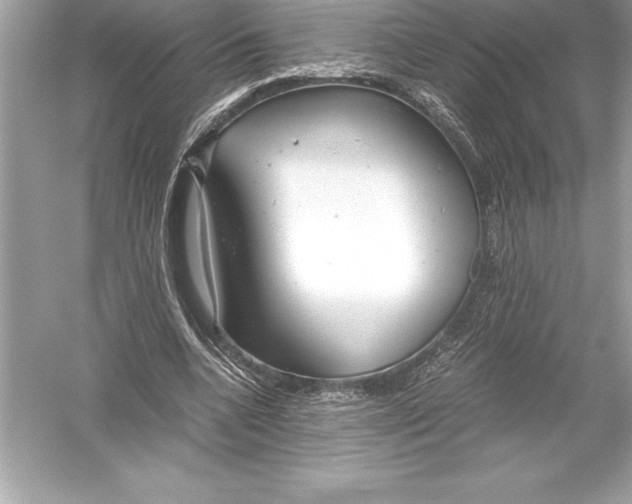 X0000051870536200507221926