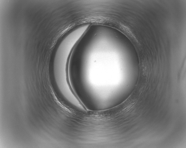 X0000051870538200507221926